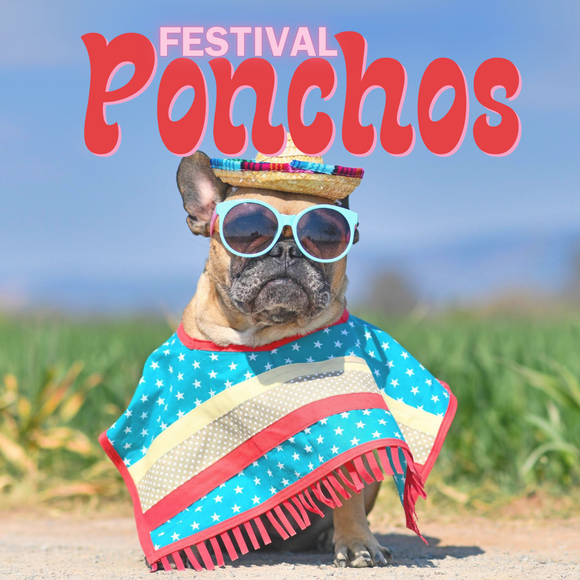 Festival Ponchos